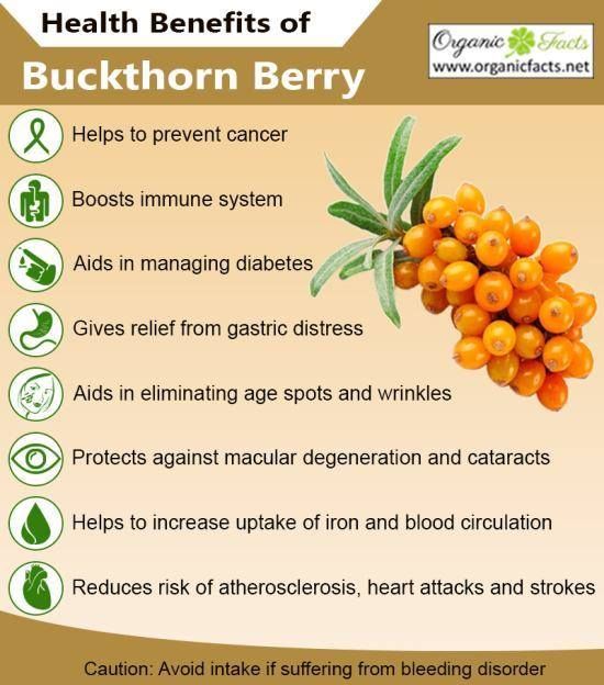 Top 7 Benefits of Sea Buckthorn: The Superfruit You Need in Your Life