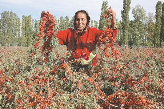 Unlock Radiant Health with Sea Buckthorn