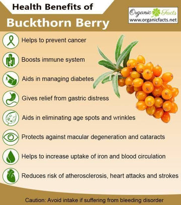 Top 7 Benefits of Sea Buckthorn: The Superfruit You Need in Your Life - Health Organizer Store