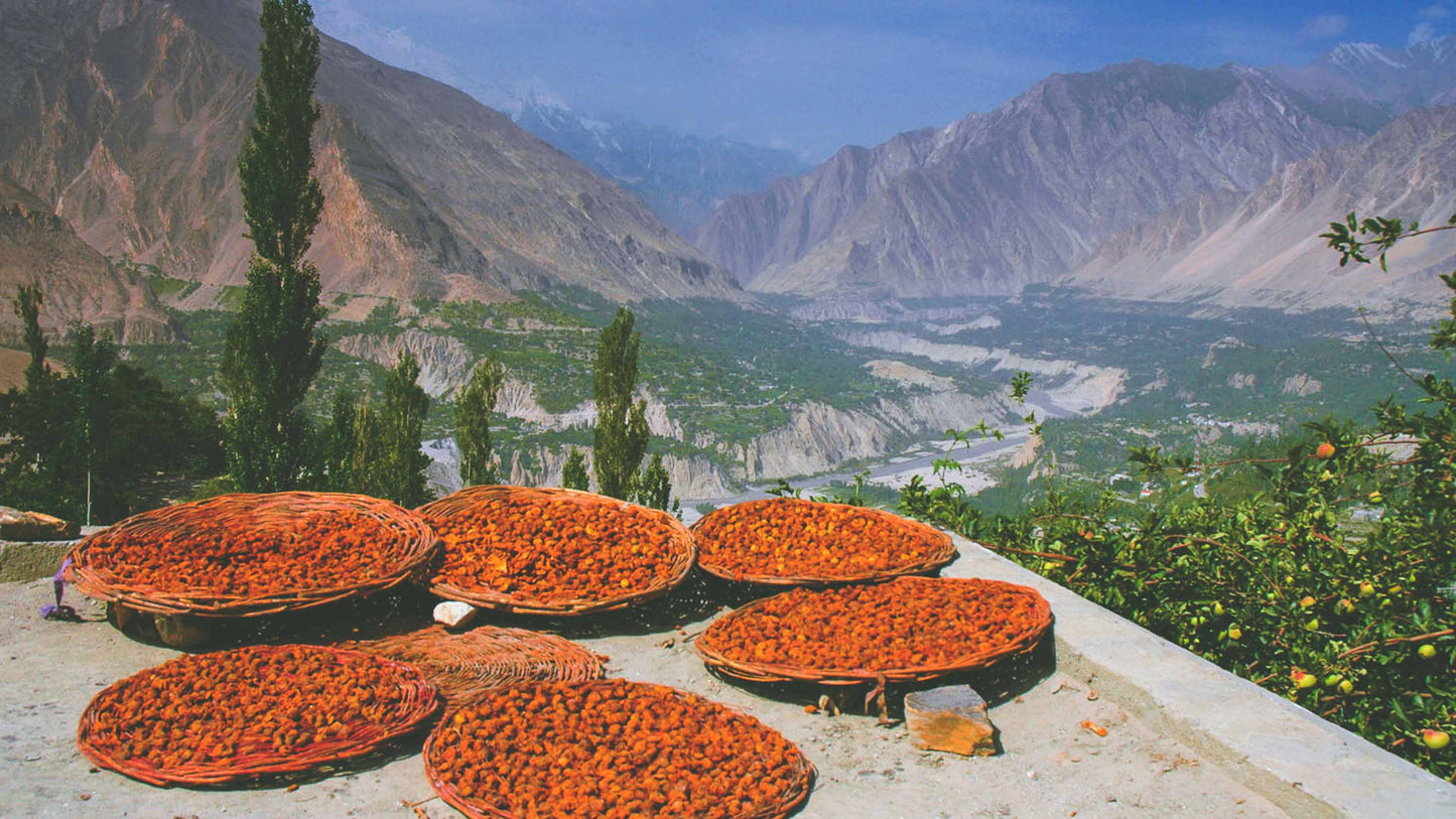 Dried Apricots with Seeds