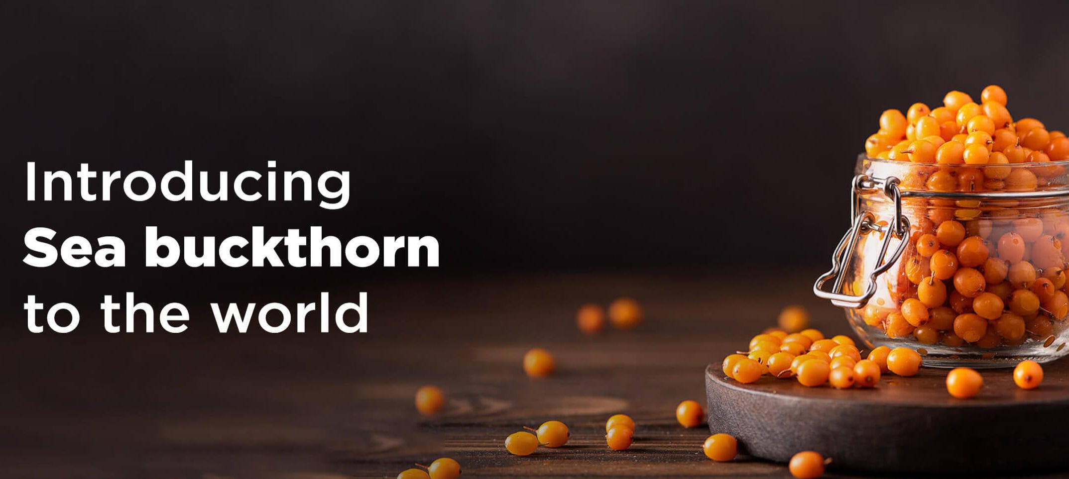 sea buckthorn