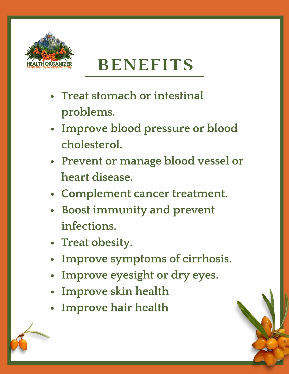 Health Organizer - Sugar-Free Premium Seabuckthorn Jam (DIET) Net weight 360 grams