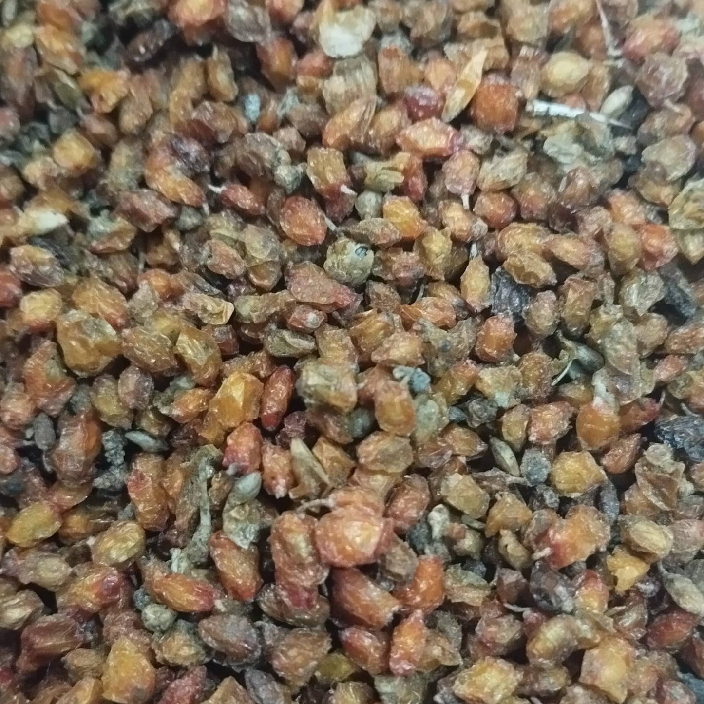 Sea Buckthorn Dried Berries (Manually Cleaned)