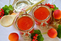Apricot Jam - Health Organizer Store