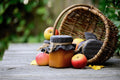 Apricot Jam - Health Organizer Store