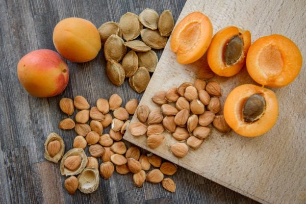 Apricot Kernels - Health Organizer Store