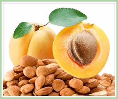Apricot Kernels - Health Organizer Store