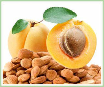 Apricot Kernels - Health Organizer Store