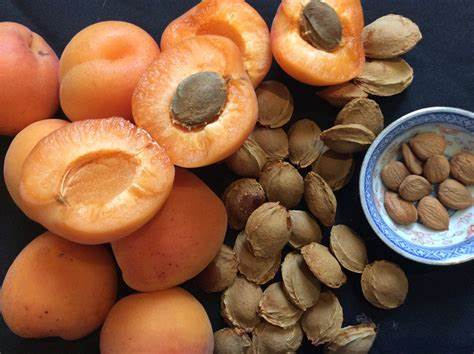 Apricot Kernels - Health Organizer Store