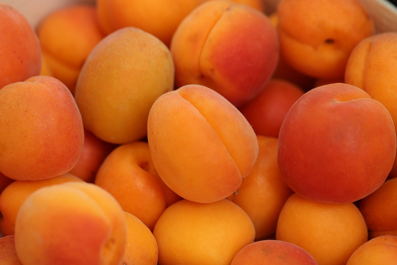 Apricot Jam