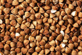 Gluten Free Buckwheat Grains in Pakistan 500 Grams - Health Organizer Store