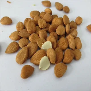 Apricot Kernels