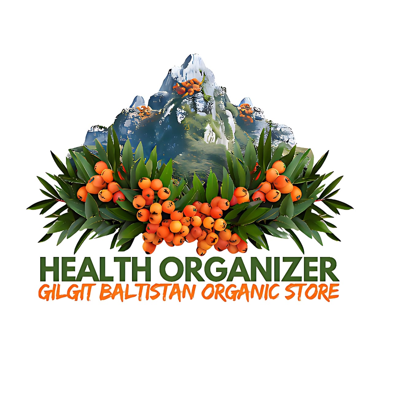 Health organizer