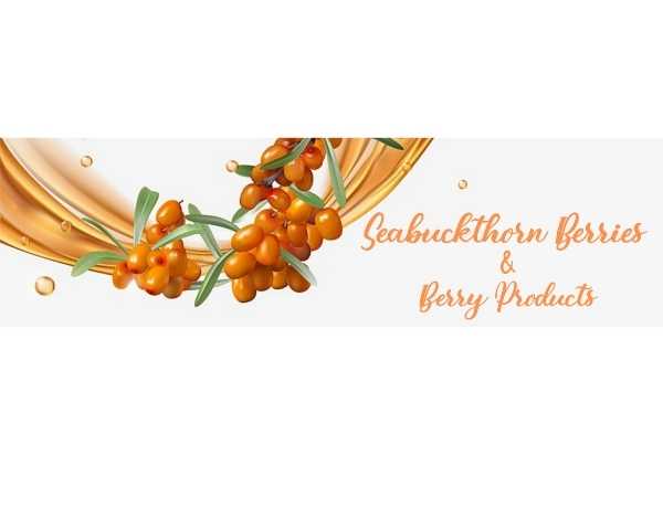 seabuckthorn price