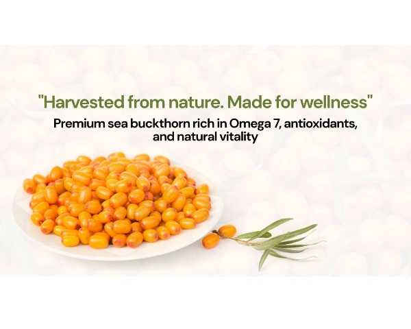 seabuckthorn berry powder