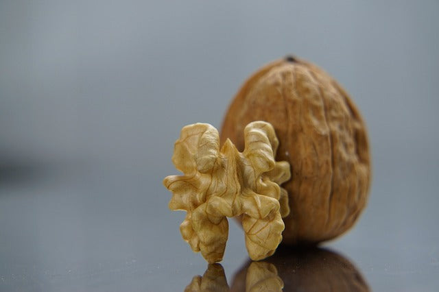 Walnut Kernels
