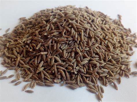 Zeera (Cumin Seeds) - Health Organizer Store